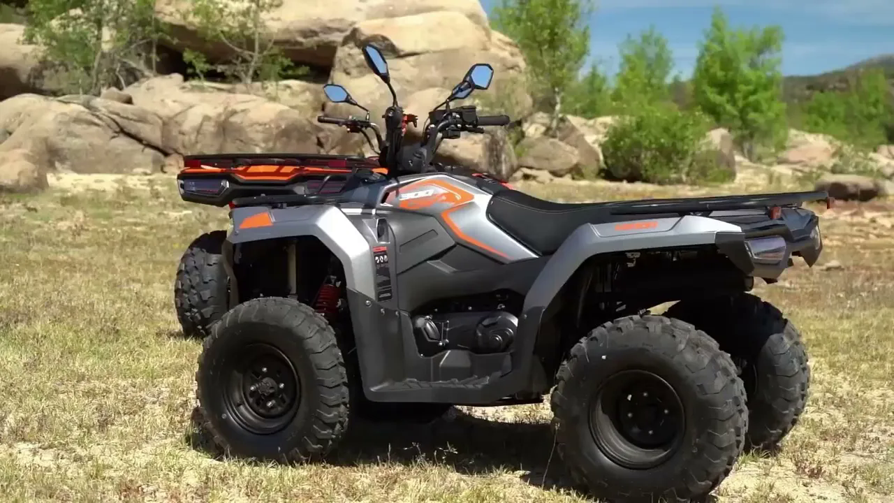 XWOLF300 | Loncin Turkiye XWOLF300 | Loncin Turkiye